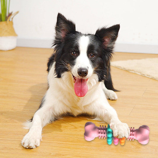 Only1Pet™ Bone Type Bite Resistant Chew Toy